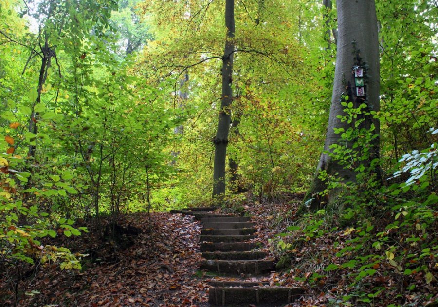 Eco-wandelreis Saarland