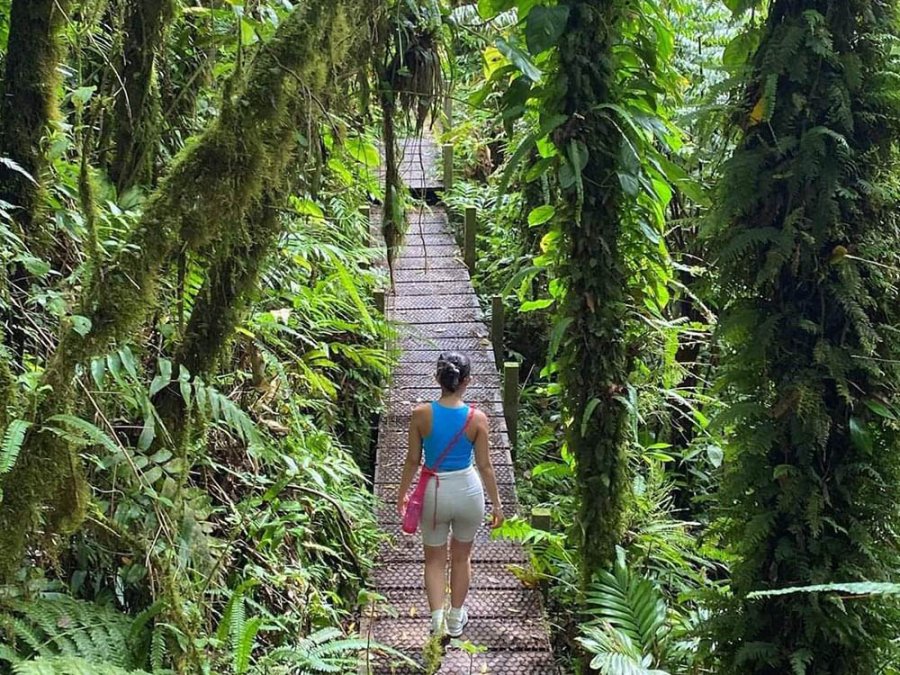Mt. Scenery Trail