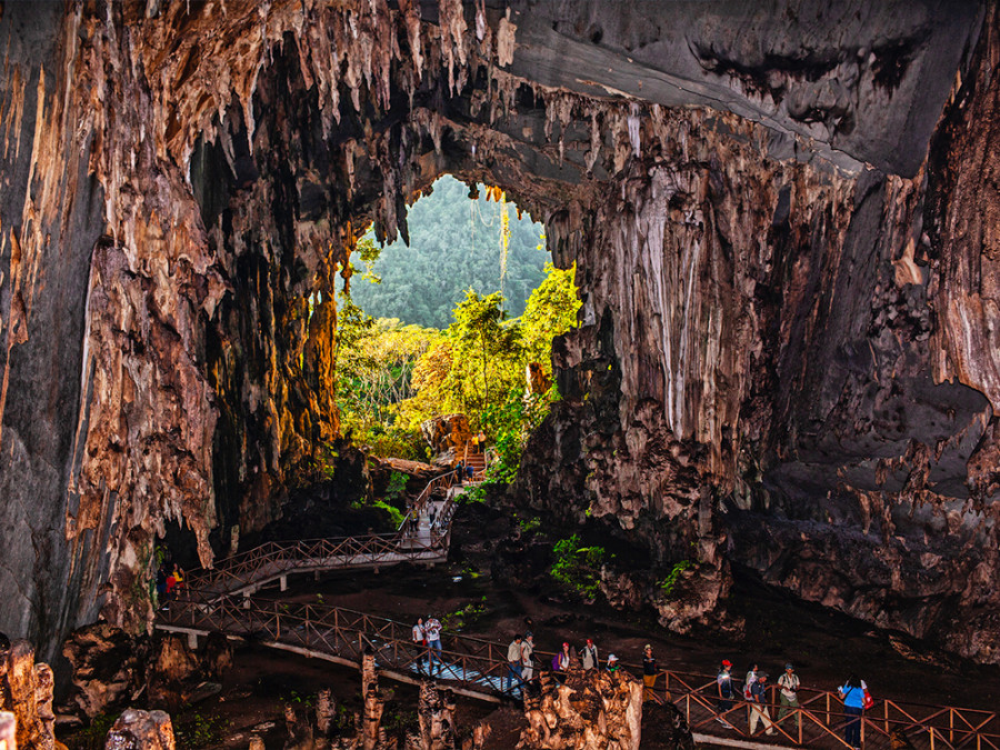 Tingo Maria National Park