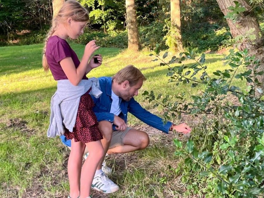 eetbare planten wildplukken eetbare planten wildplukken