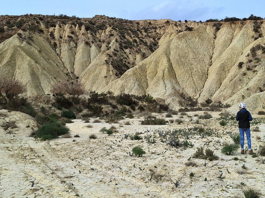 Natuur Almonzara Vallei