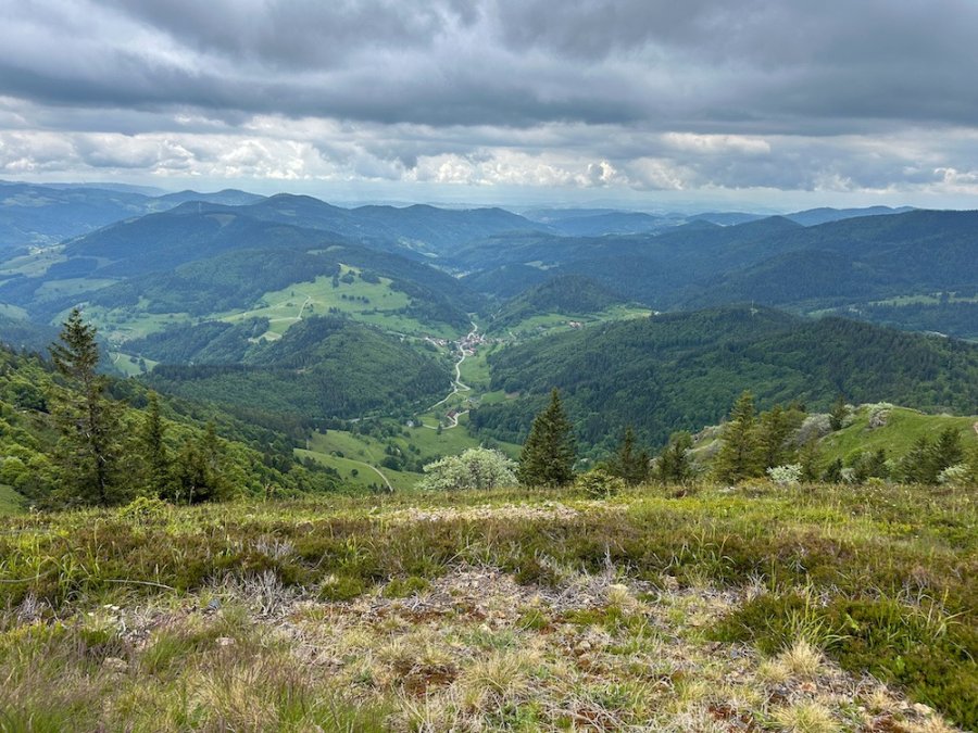 Bergen in het Zwarte Woud