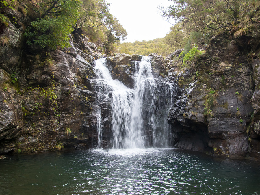 Levada do Alectrim