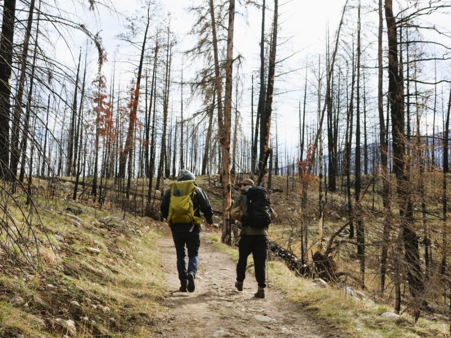 Excursie wandeling Jasper Excursie wandeling Jasper
