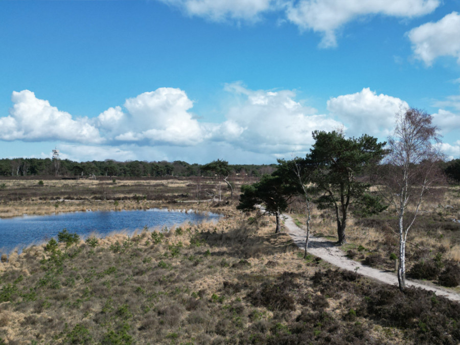 Wandelroutes NP Kalmthoutse Heide