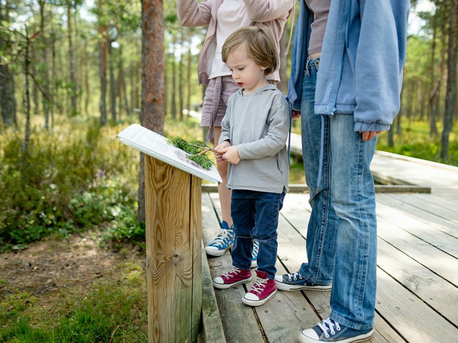 Wandelen met kinderen in Estland Wandelen met kinderen in Estland