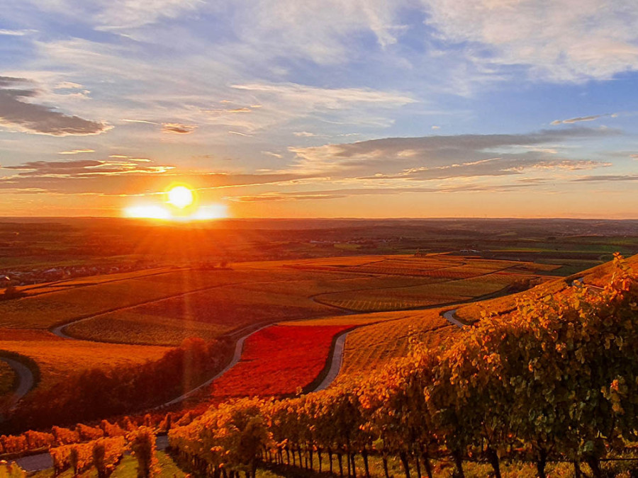 Steigerwald herfst