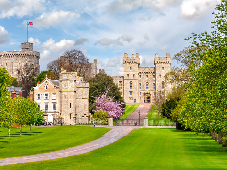 Windsor Great Park