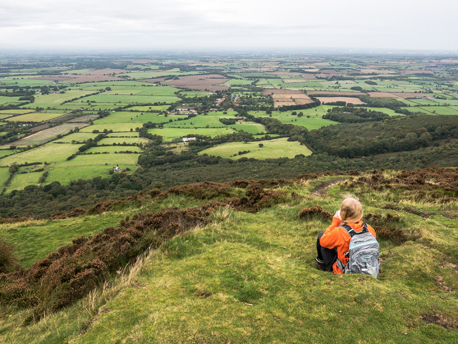 North York Moors