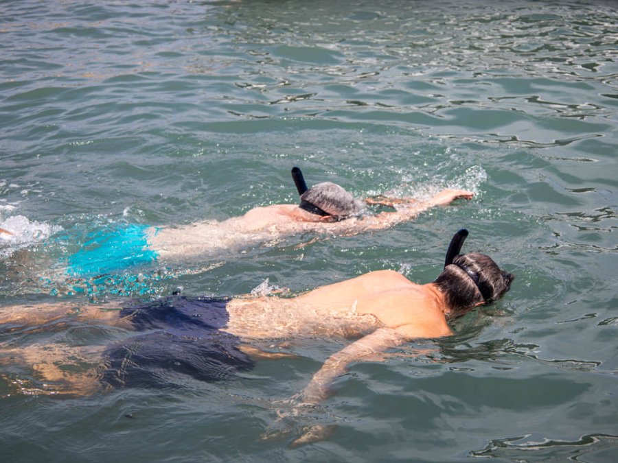 Snorkelen in de zee