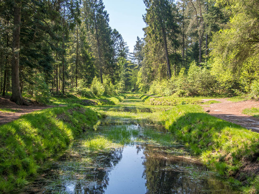 Hooge Vuursche