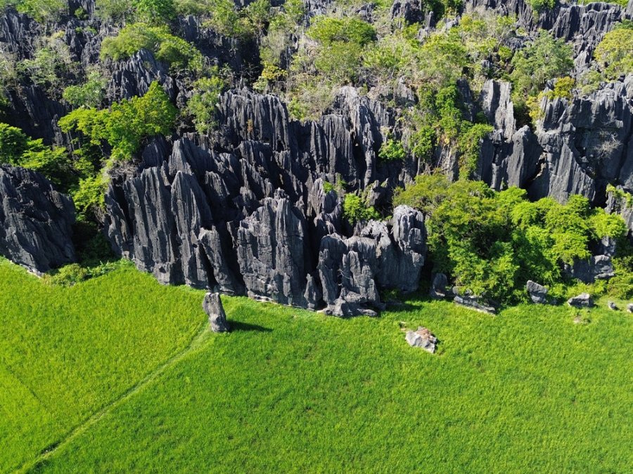 Nationaal Park Bantimurung–Bulusaraung