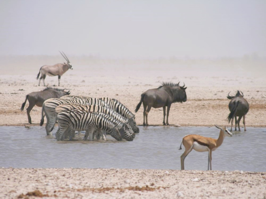 Rondreis in Namibië