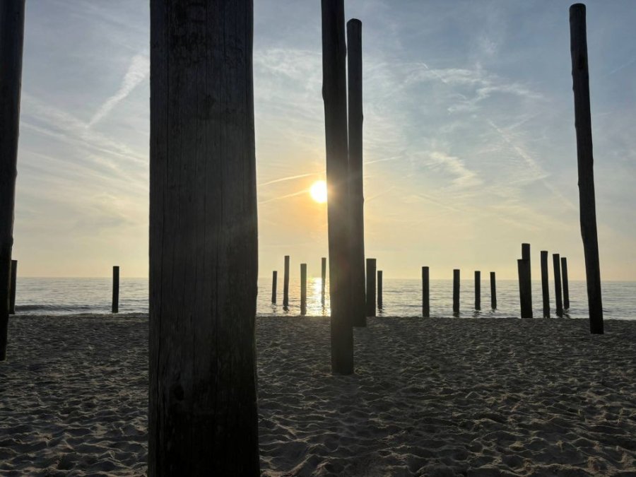 Palendorp van Petten