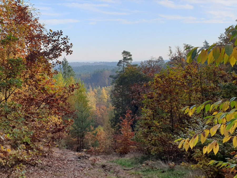 Herfst in de Altmark