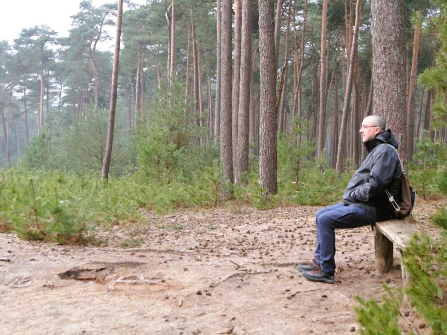 Deelerwoud wandeling