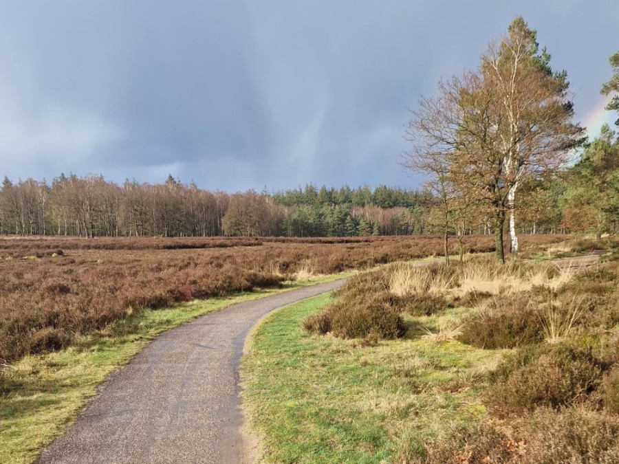 Wandelroute Soeren