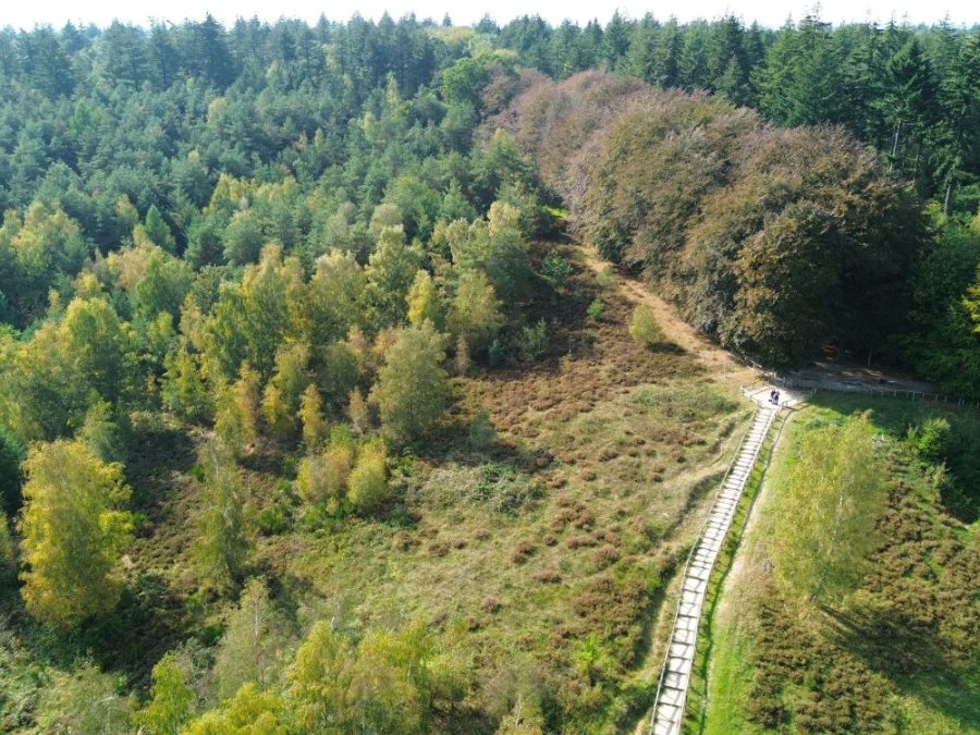 Natuurgebied Kwintelooijen