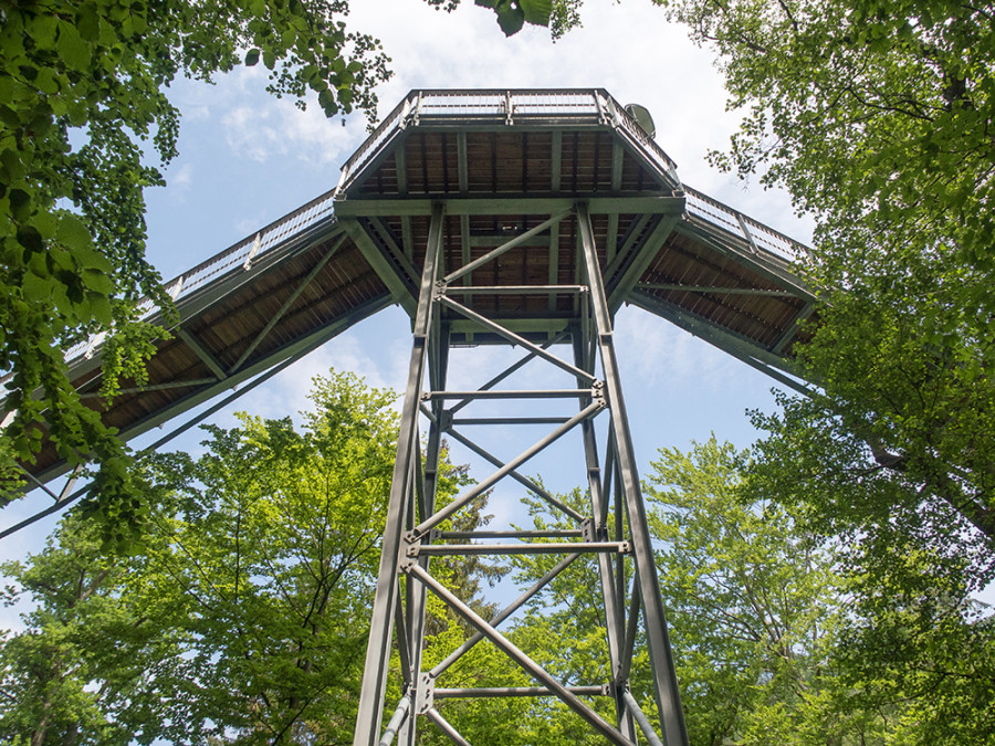 Boomkroonpad Harz