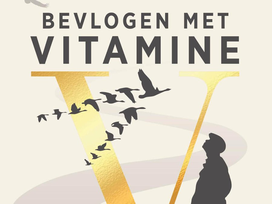 Boek Bevlogen met vitamine V