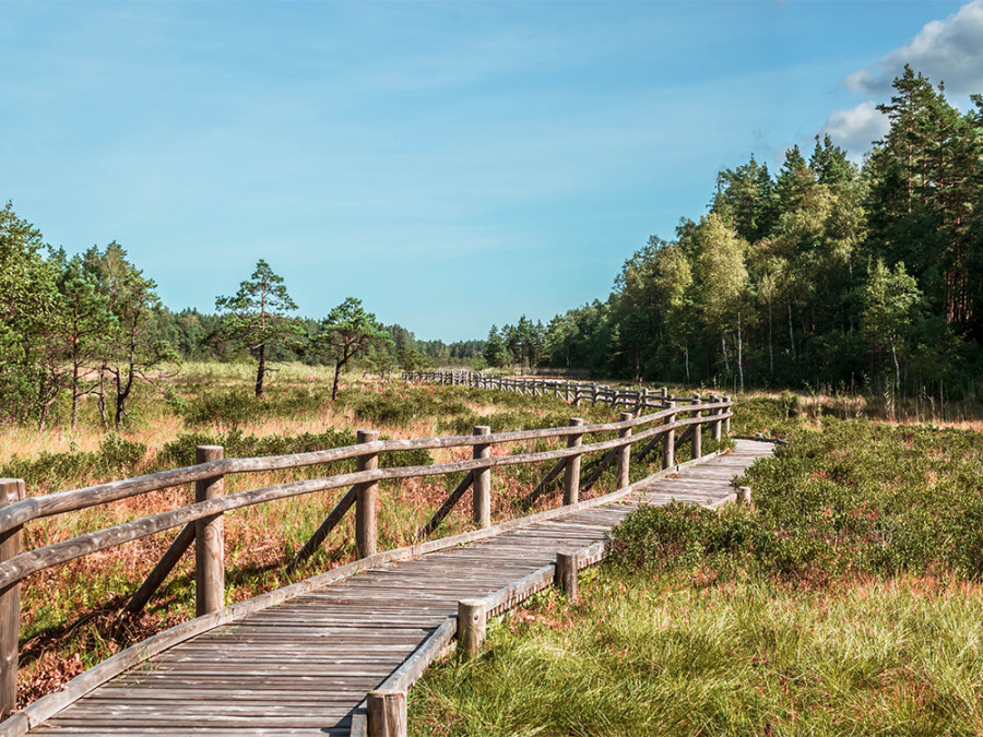 Natuur in Slitere