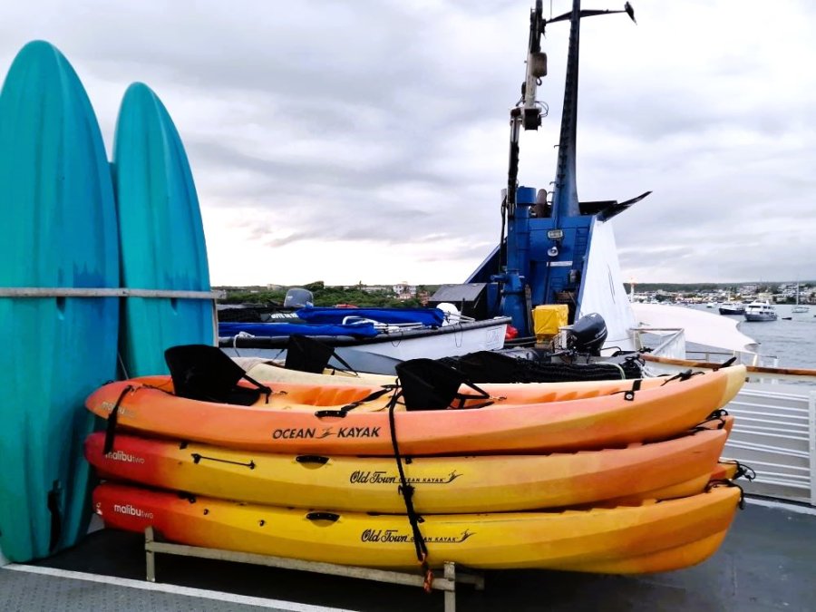 Kayak Kayak