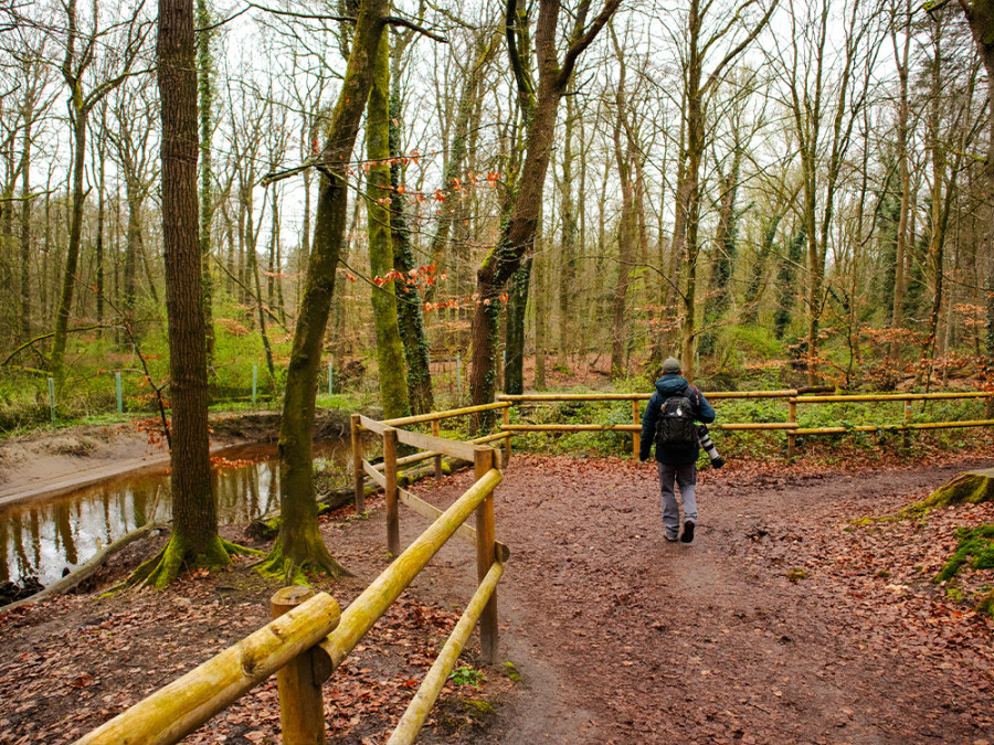 Wandelen in Winterswijk