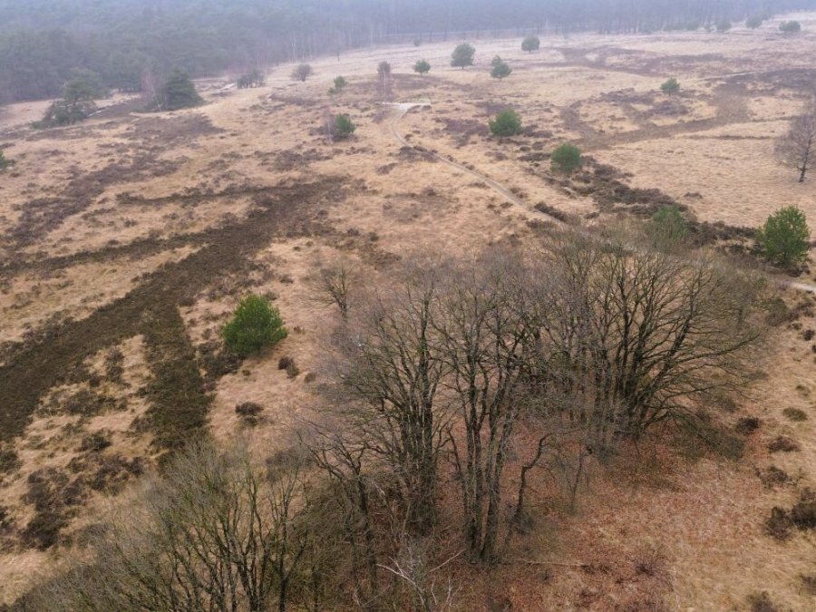 Natuurgebied Schenkenshul