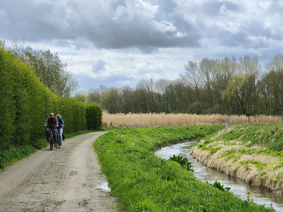 Hageland