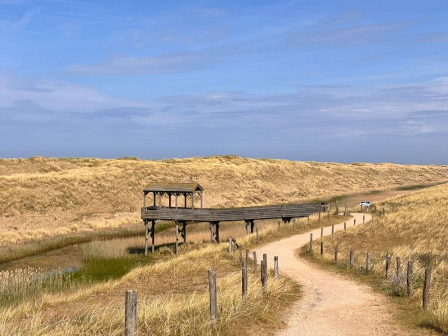 Vogelspotplek