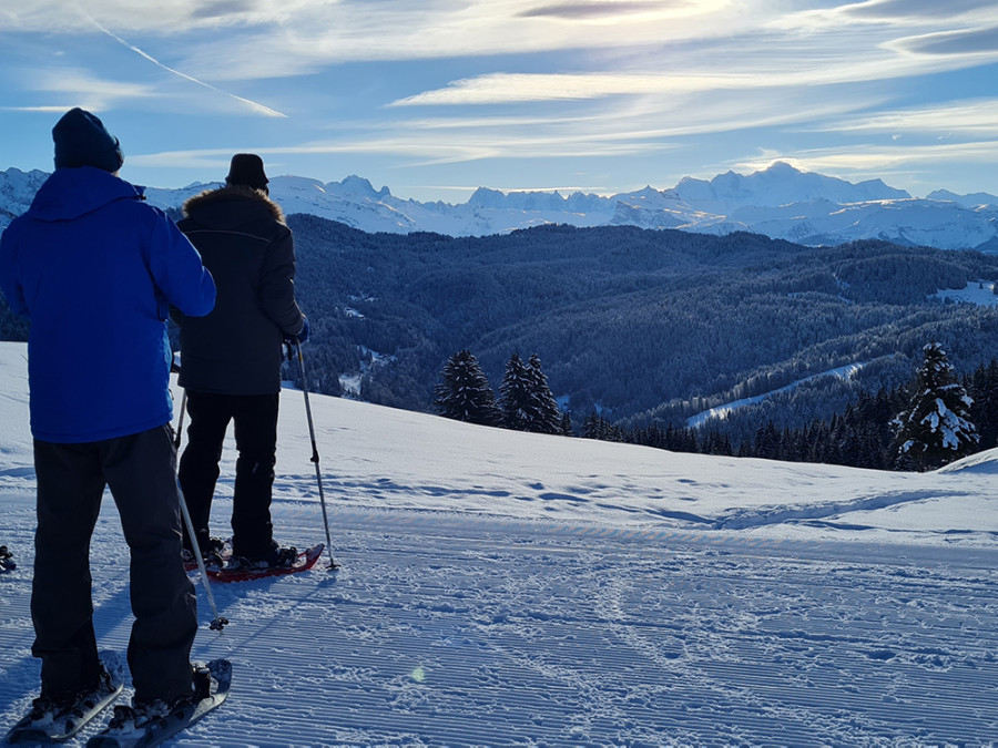 Sneeuwschoenwandelen