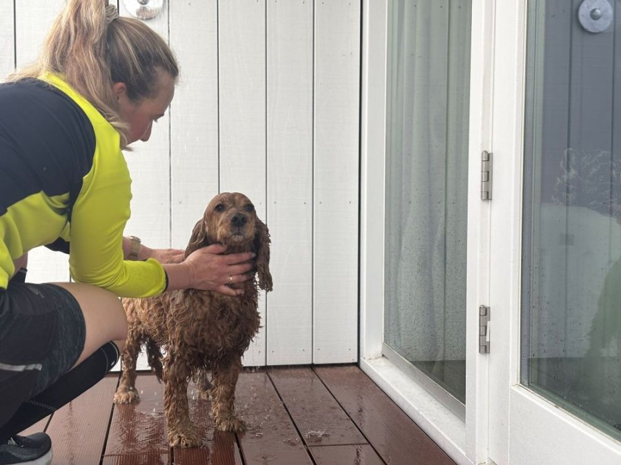Hondvriendelijk strandhuisje