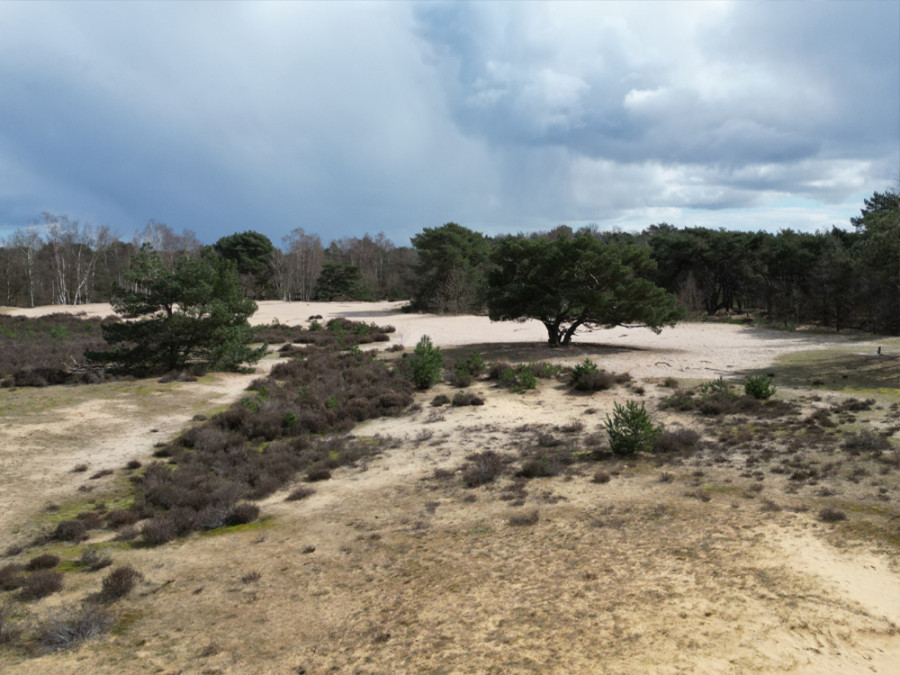 Wandelroutes Kalmthoutse Heide