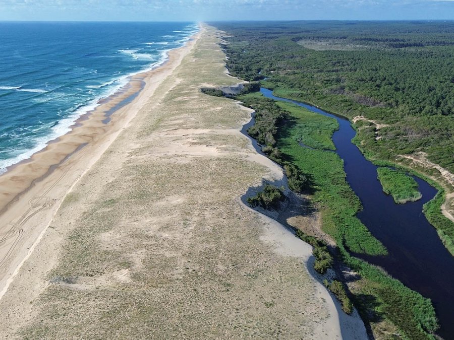Courants in Les Landes