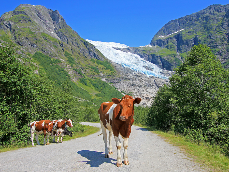 Bøyabreen