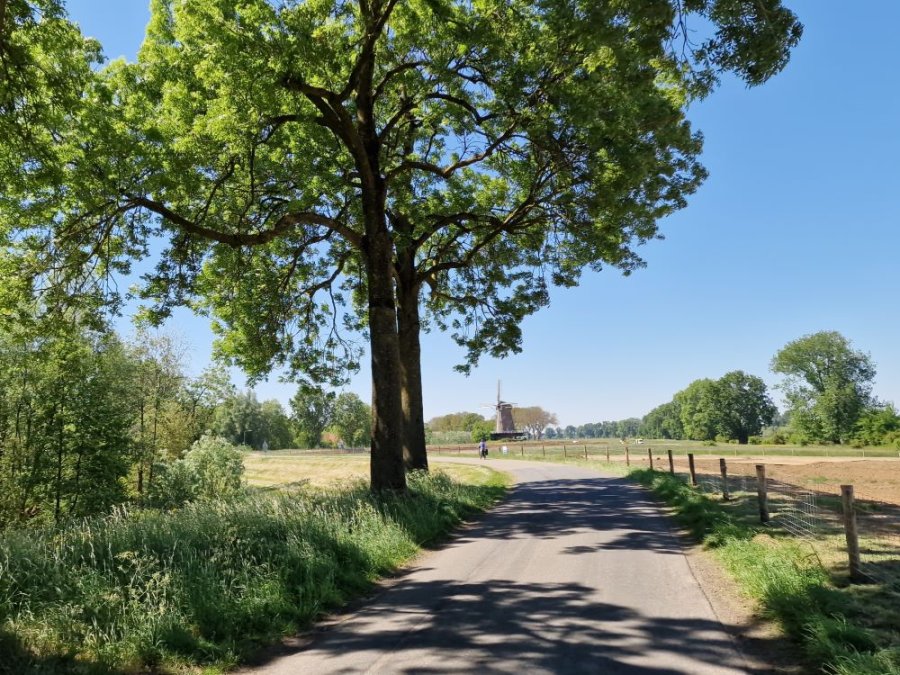 Route Maas Route Maas