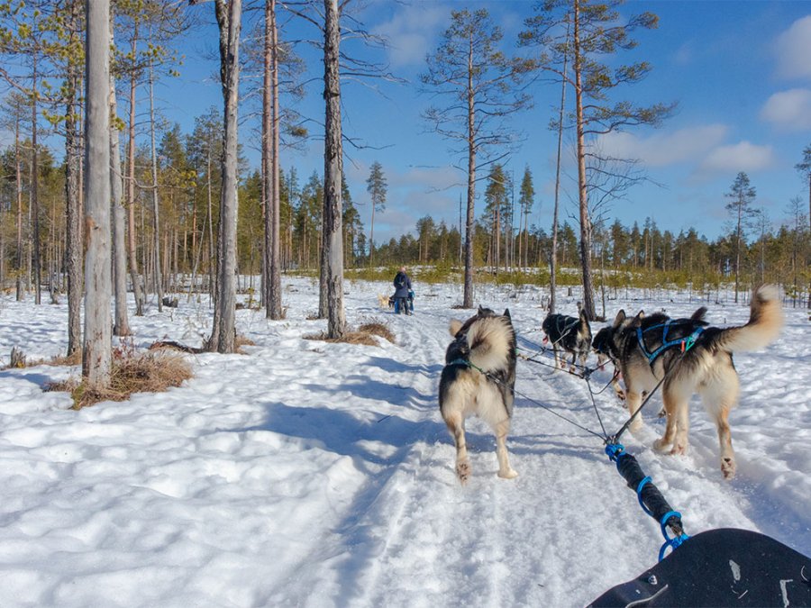 Natuur in Suomussalmi Natuur in Suomussalmi