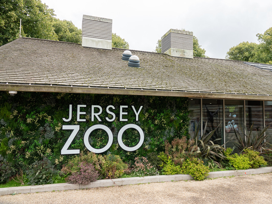 Jersey Zoo