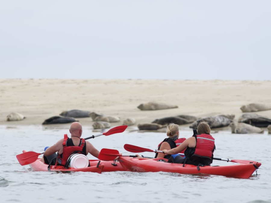 Kayak Terschelling