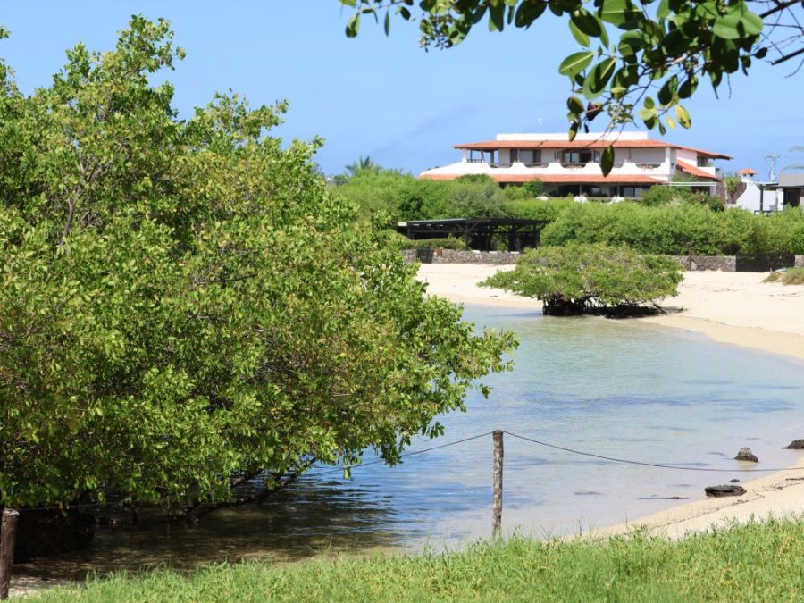 Finch Bay hotel Finch Bay hotel