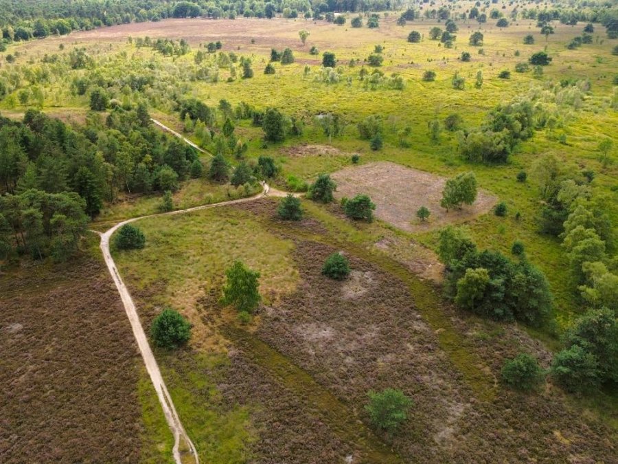 Cartierheide Cartierheide