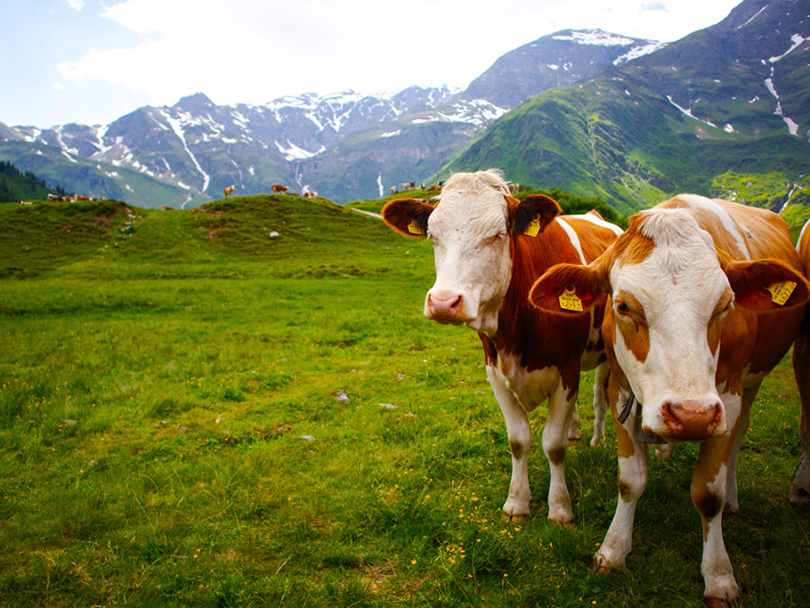 Mooiste plekken Gastein