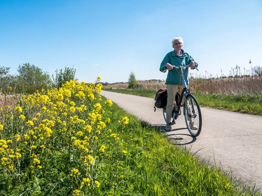 Fietsen in de Onlanden