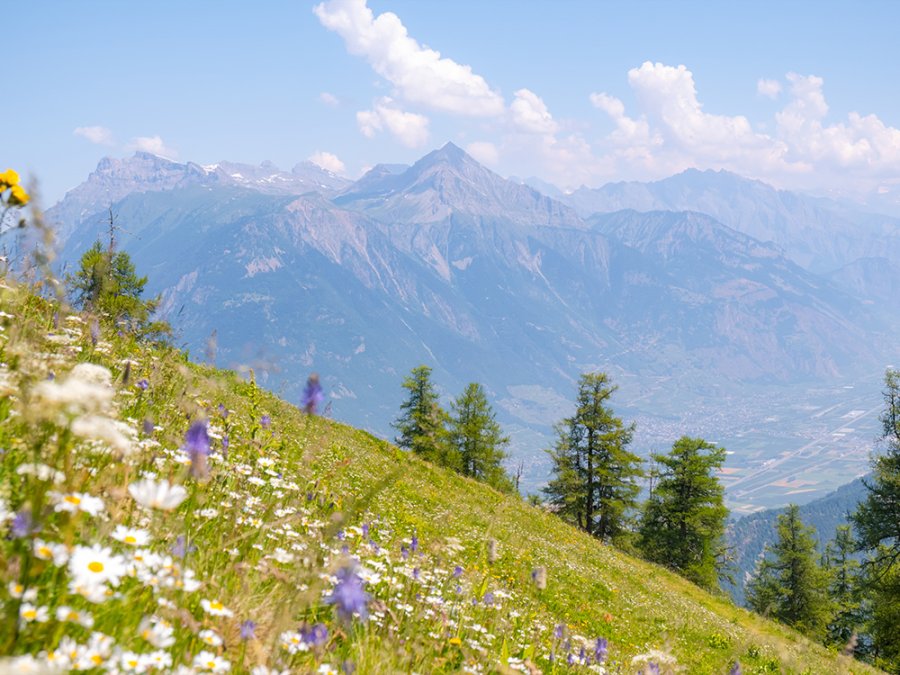 Etappe 4 Mont Blanc Trail