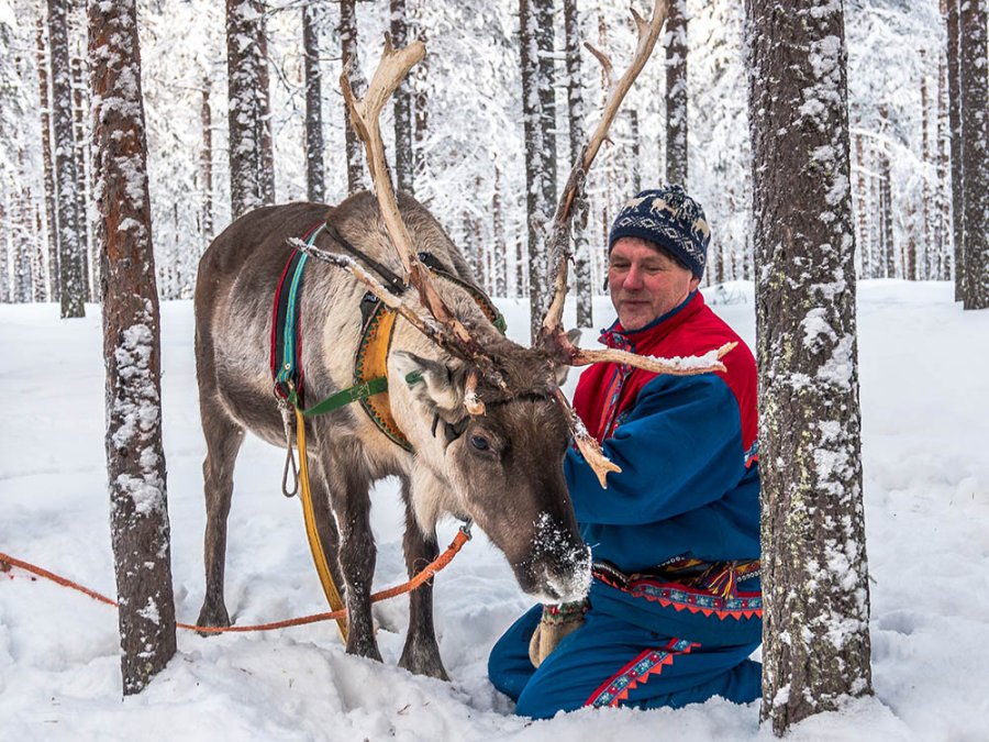 Sami en rendieren