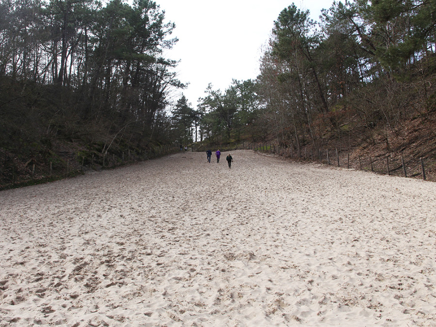 Klimduin Schoorlse Duinen