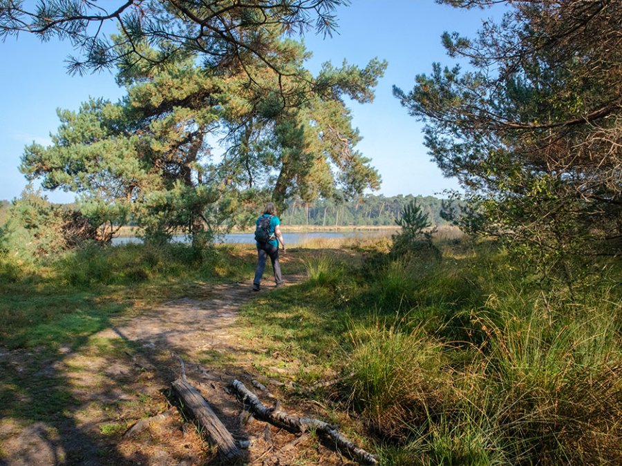 Van Gogh Nationaal Park