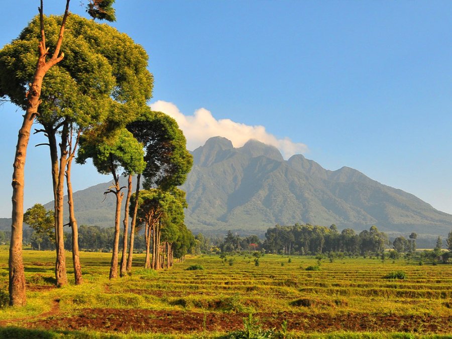 Virunga gebergte