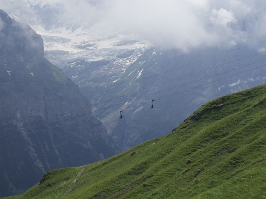 Zipline Grindelwald