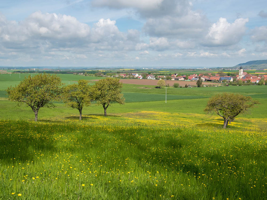 Dornheim